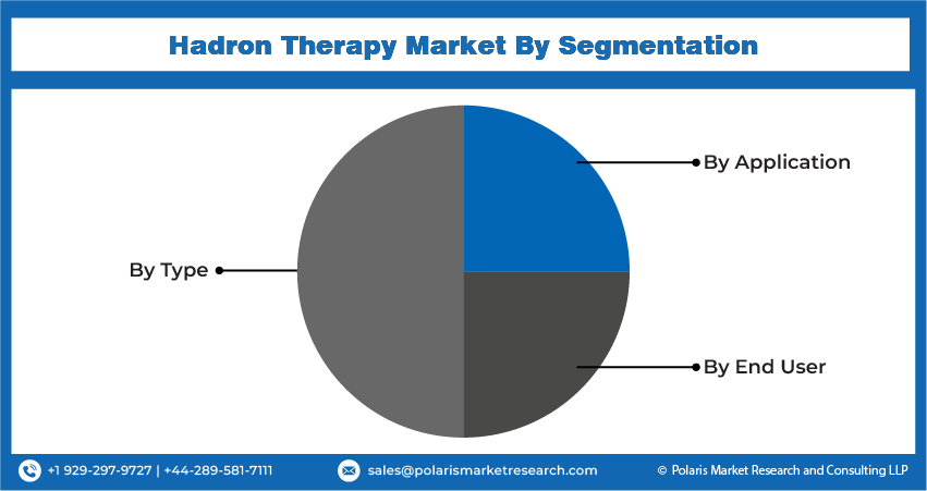 Hadron Therapy Seg